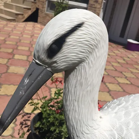 Kwatera prywatna Amy *