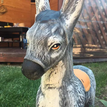 ホームステイ Amy