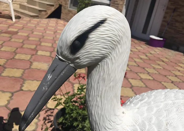 Homestay szállás Amy *