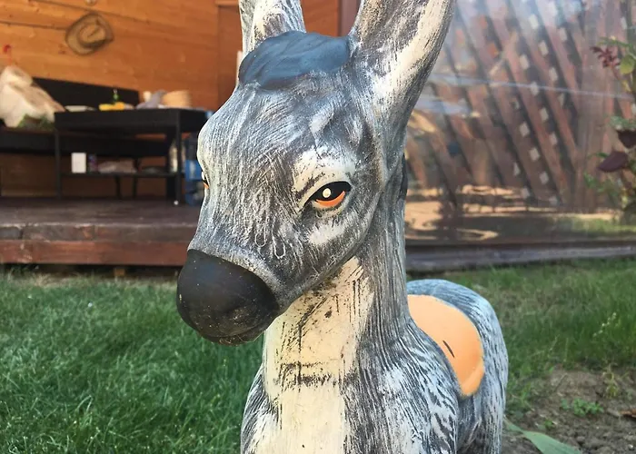 Homestay szállás Amy